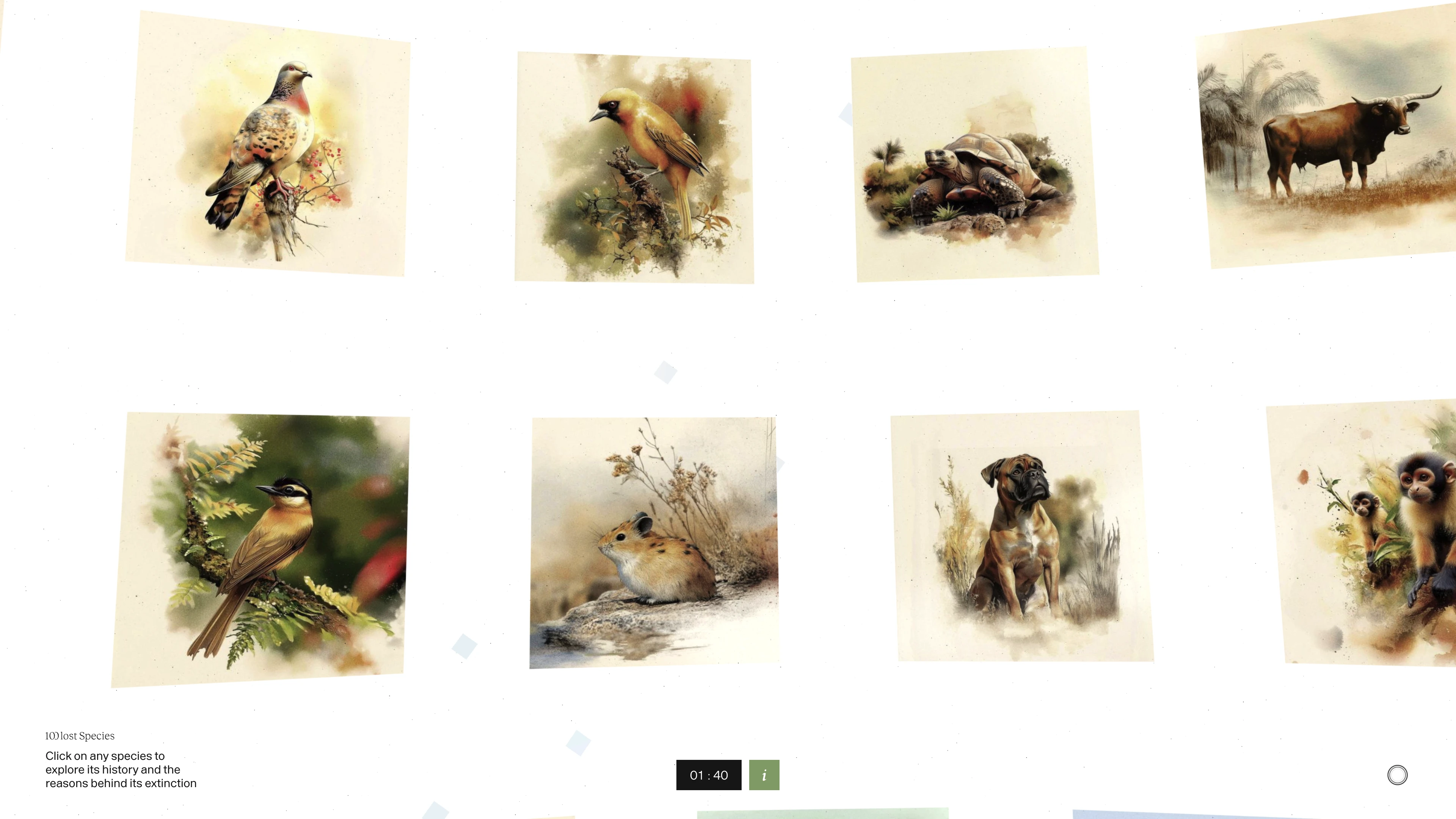 Full page screenshot of the 100 Lost Species website. The 100 Lost Species aims to raise public awareness of animal extinction and …