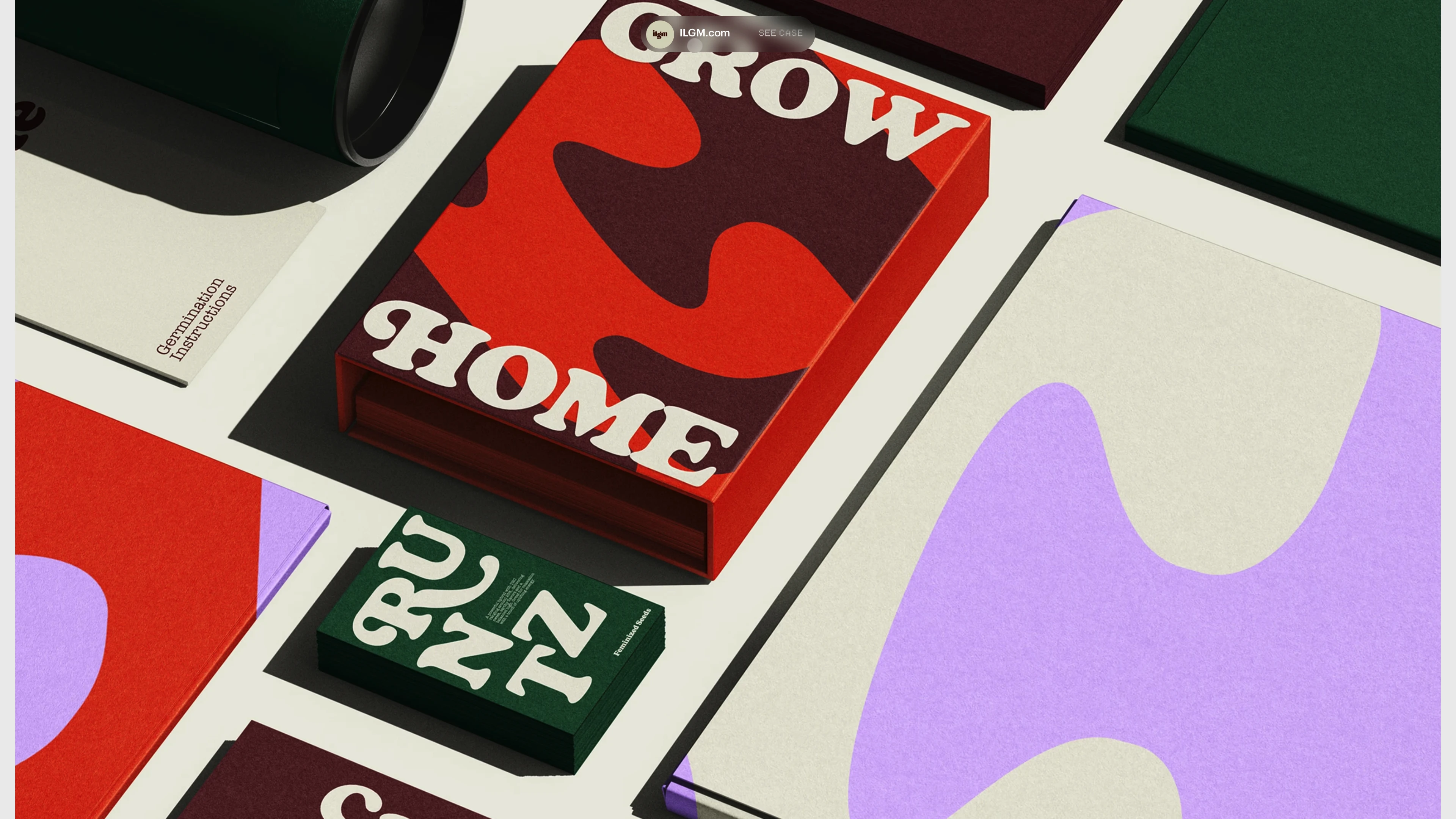 Full page screenshot of the Analogue Agency website. A premier destination for award-winning branding and digital design solutions. …