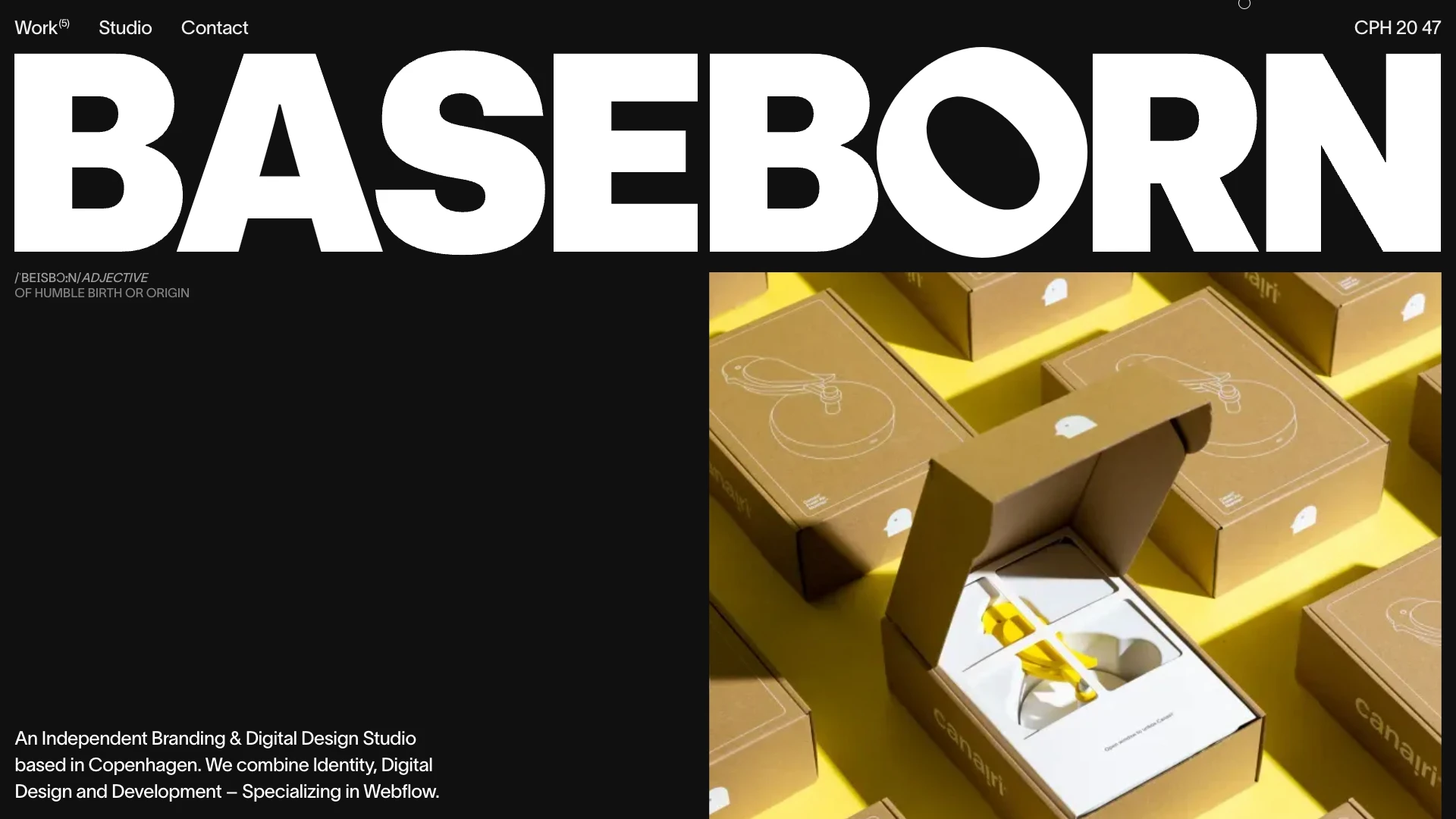 BASEBORN