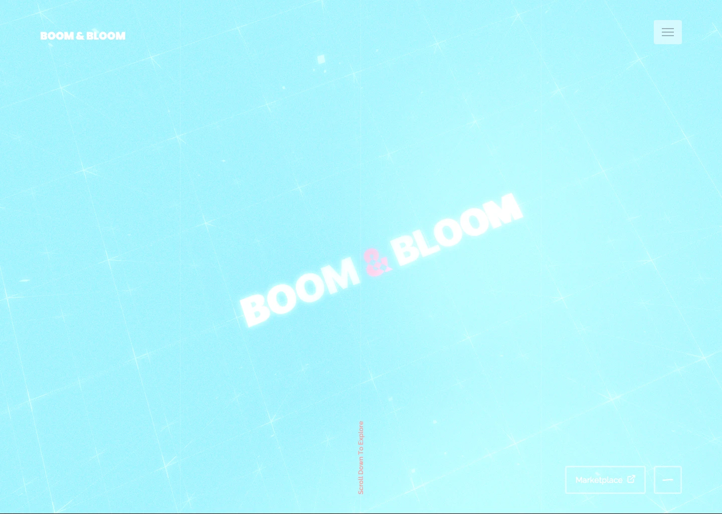 Boom & Bloom