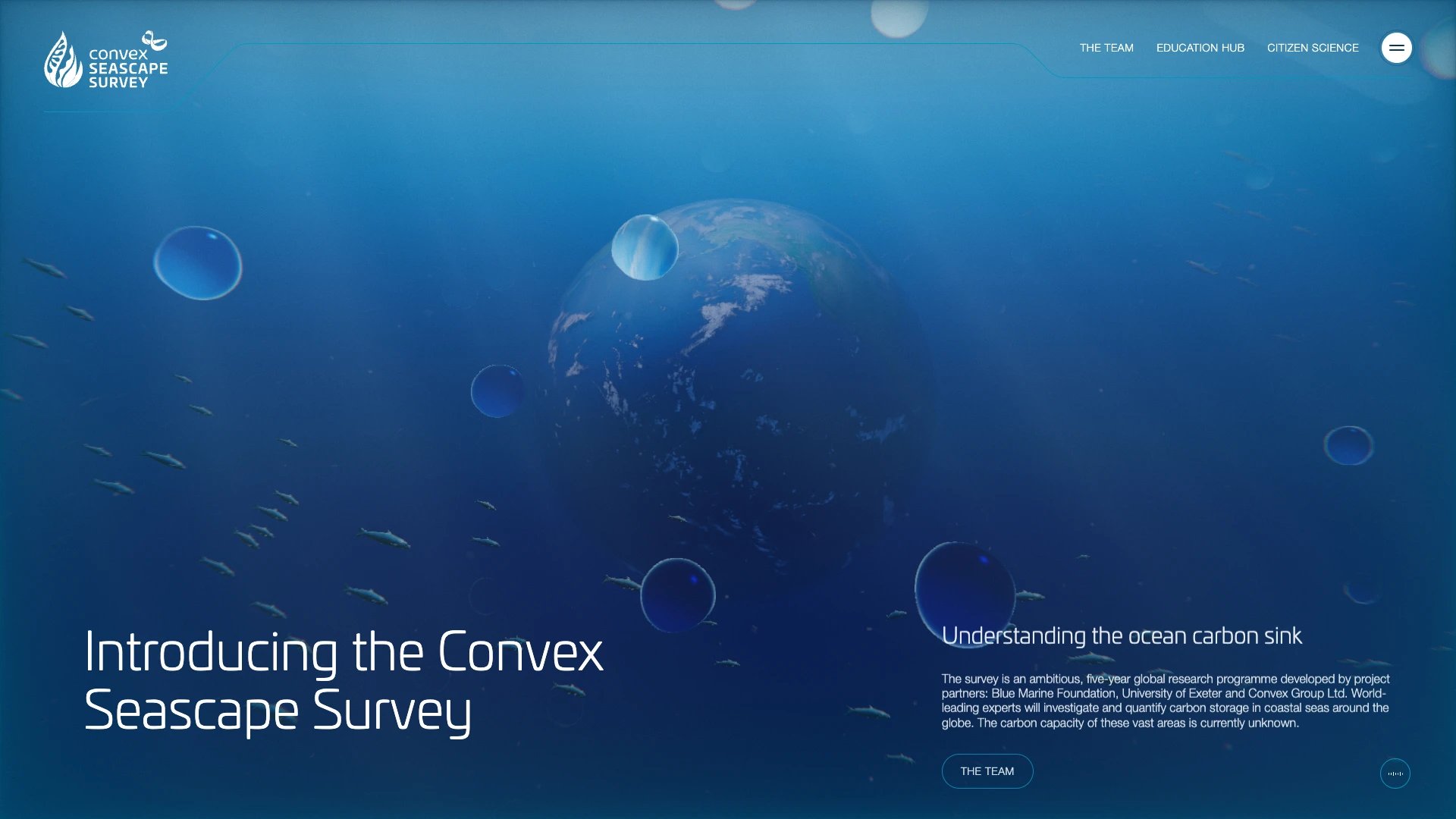 The Convex Seascape Survey