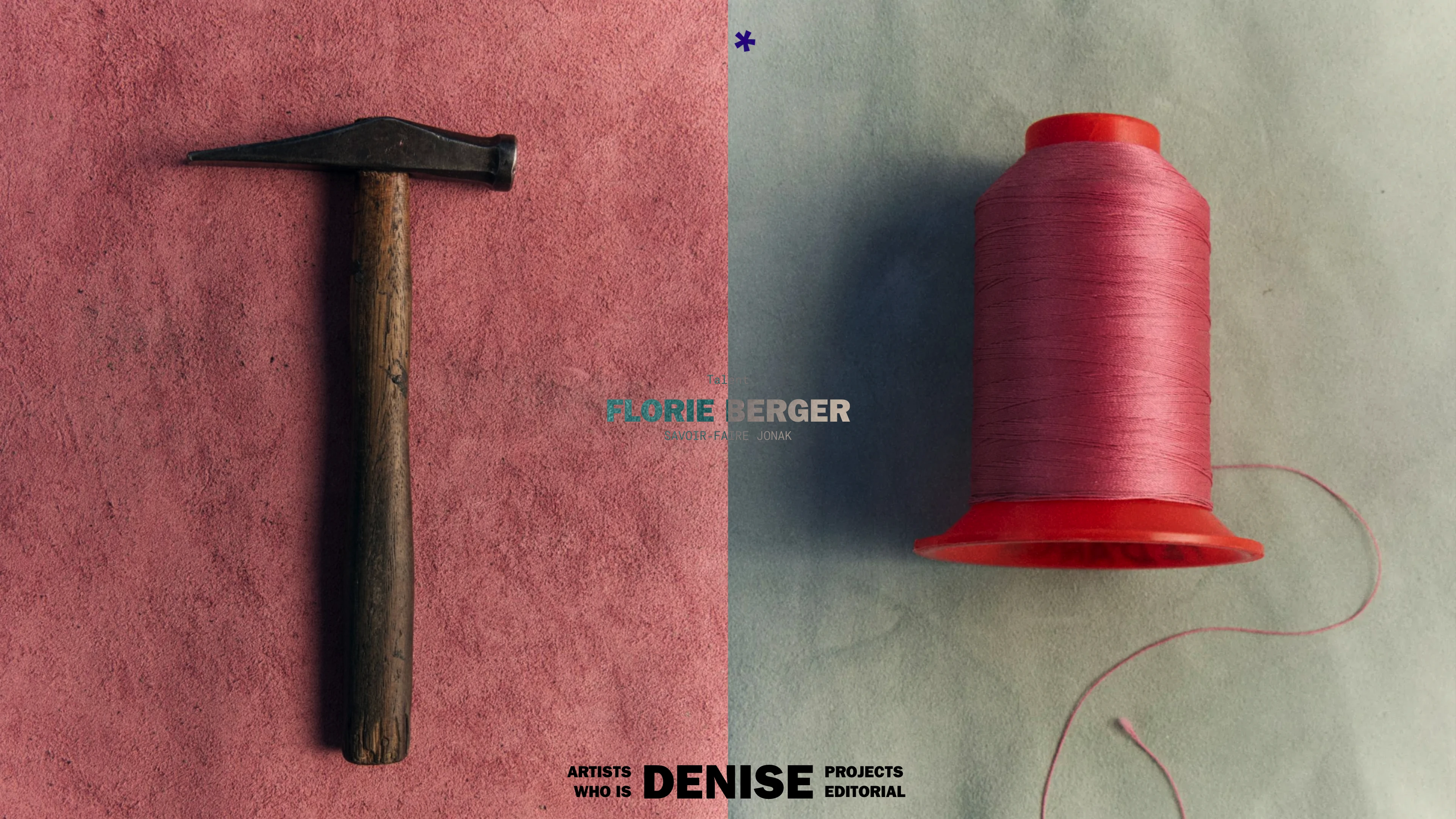 Full page screenshot of the Denise Agency website. Denise Agency is a Paris based agency representing innovative photographers, …