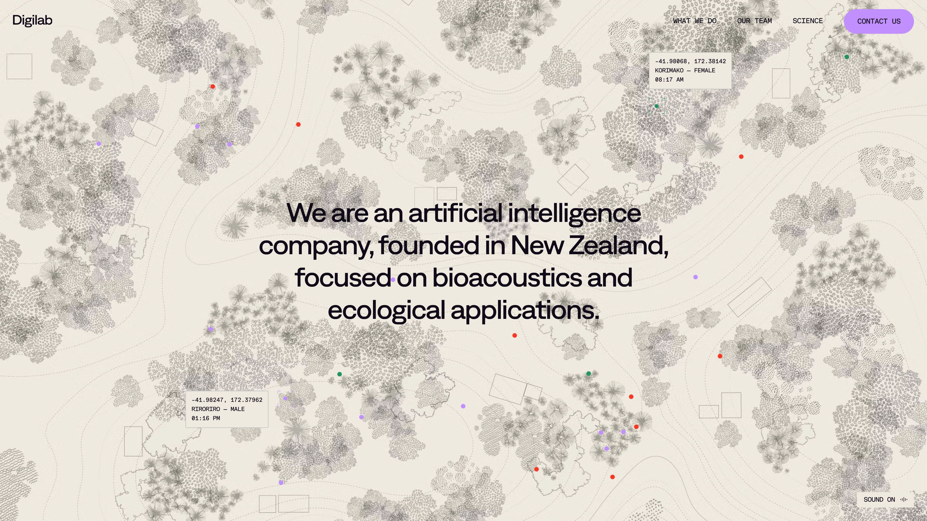 Full page screenshot of the Digilab website. We are an artificial intelligence company, founded in New Zealand, focused on …