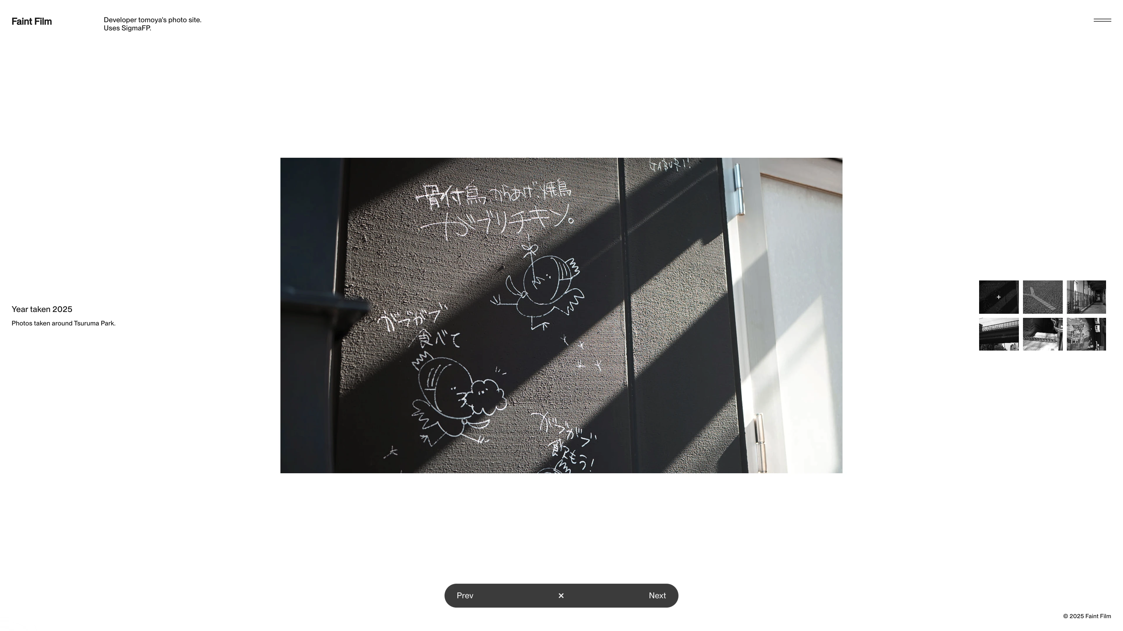 Full page screenshot of the Faint Film website. I'm an engineer by profession, but photography is something I enjoy in my free …