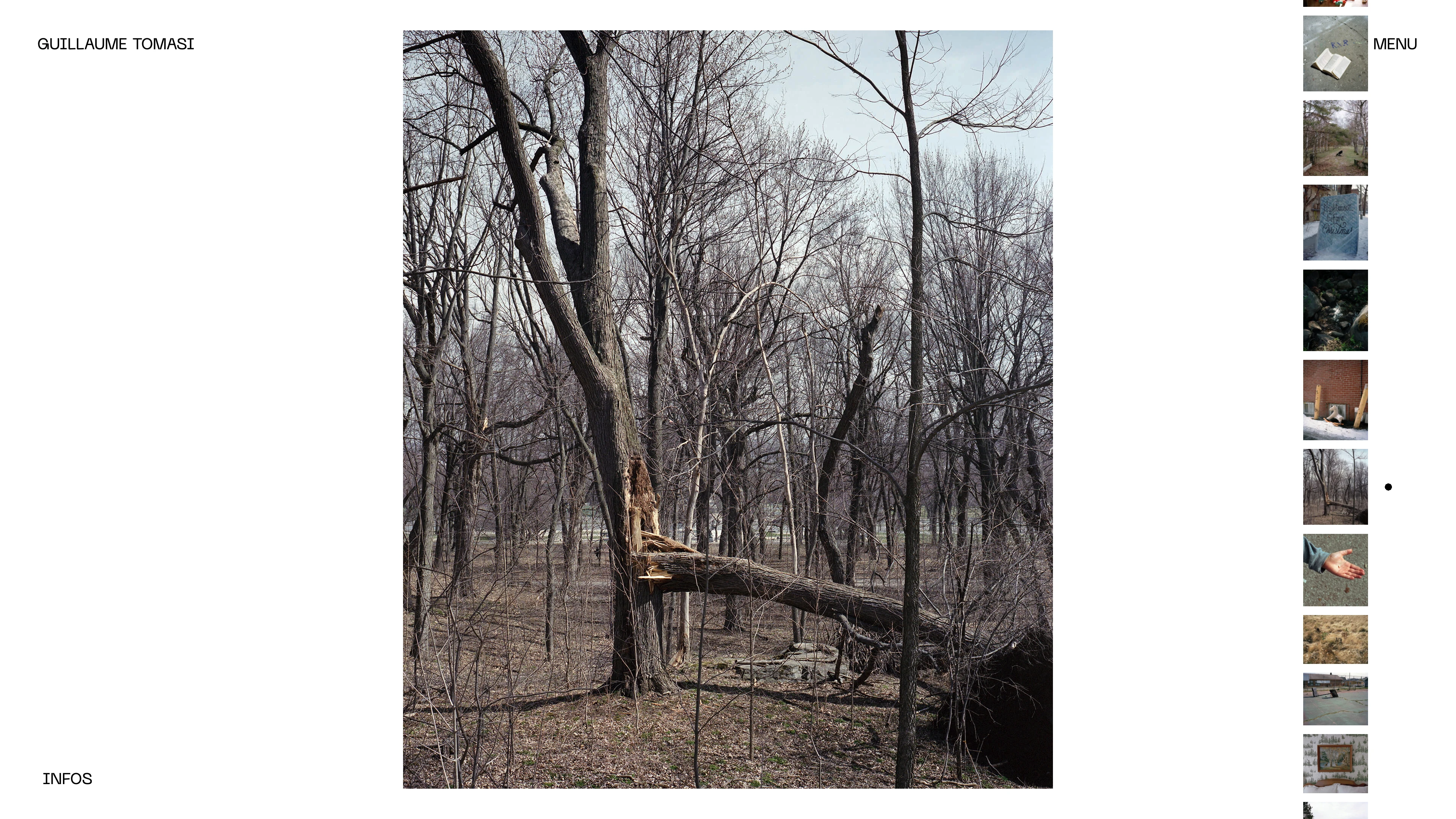 Full page screenshot of the Guillaume Tomasi website. Guillaume Tomasi (b 1984, France) is a photographer and curator based in …