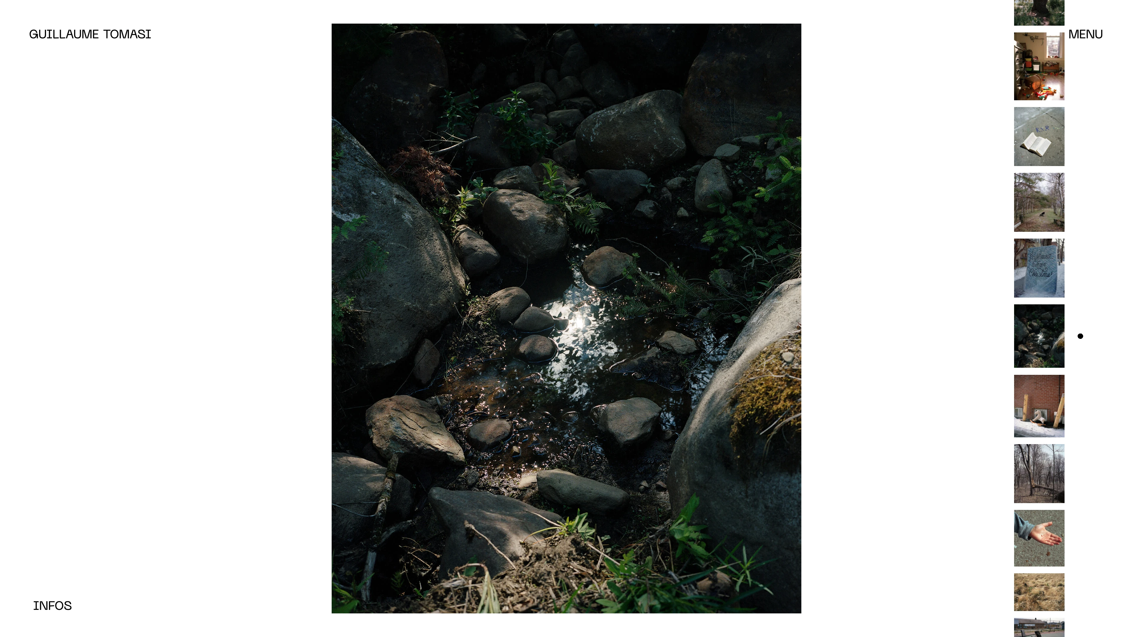 Full page screenshot of the Guillaume Tomasi website. Guillaume Tomasi (b 1984, France) is a photographer and curator based in …