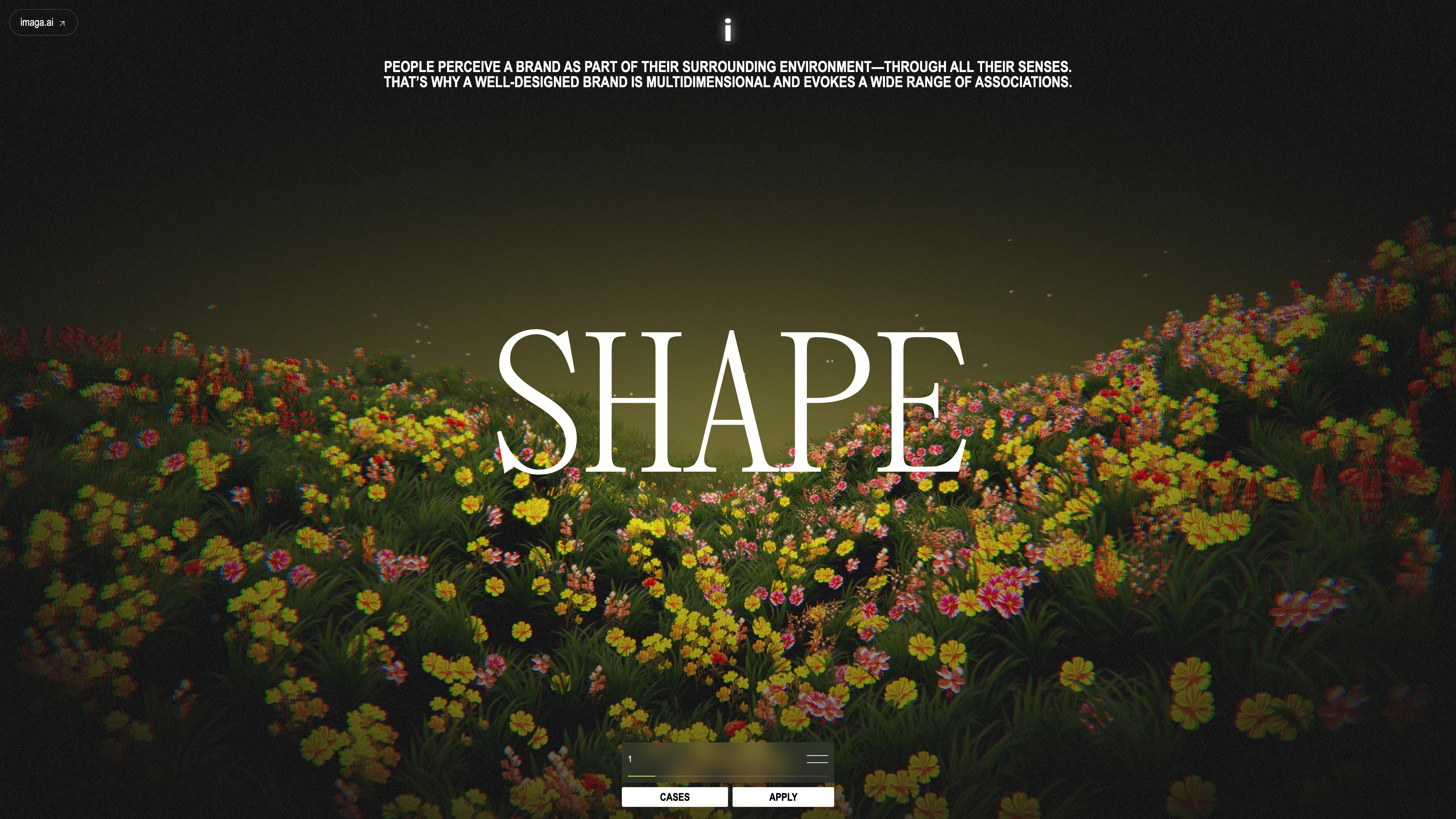 Full page screenshot of the Imaga website. We create organic branding for growing companies: research, identity, brand …