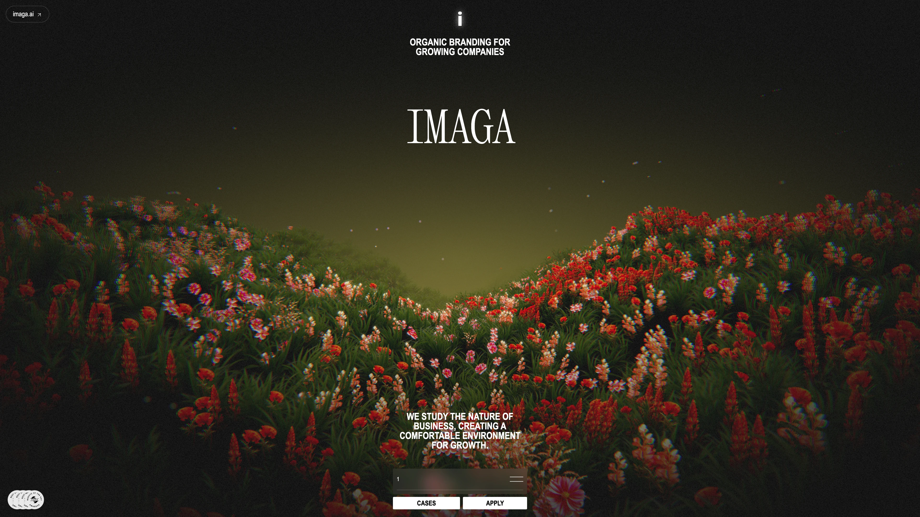 Full page screenshot of the Imaga website. We create organic branding for growing companies: research, identity, brand …