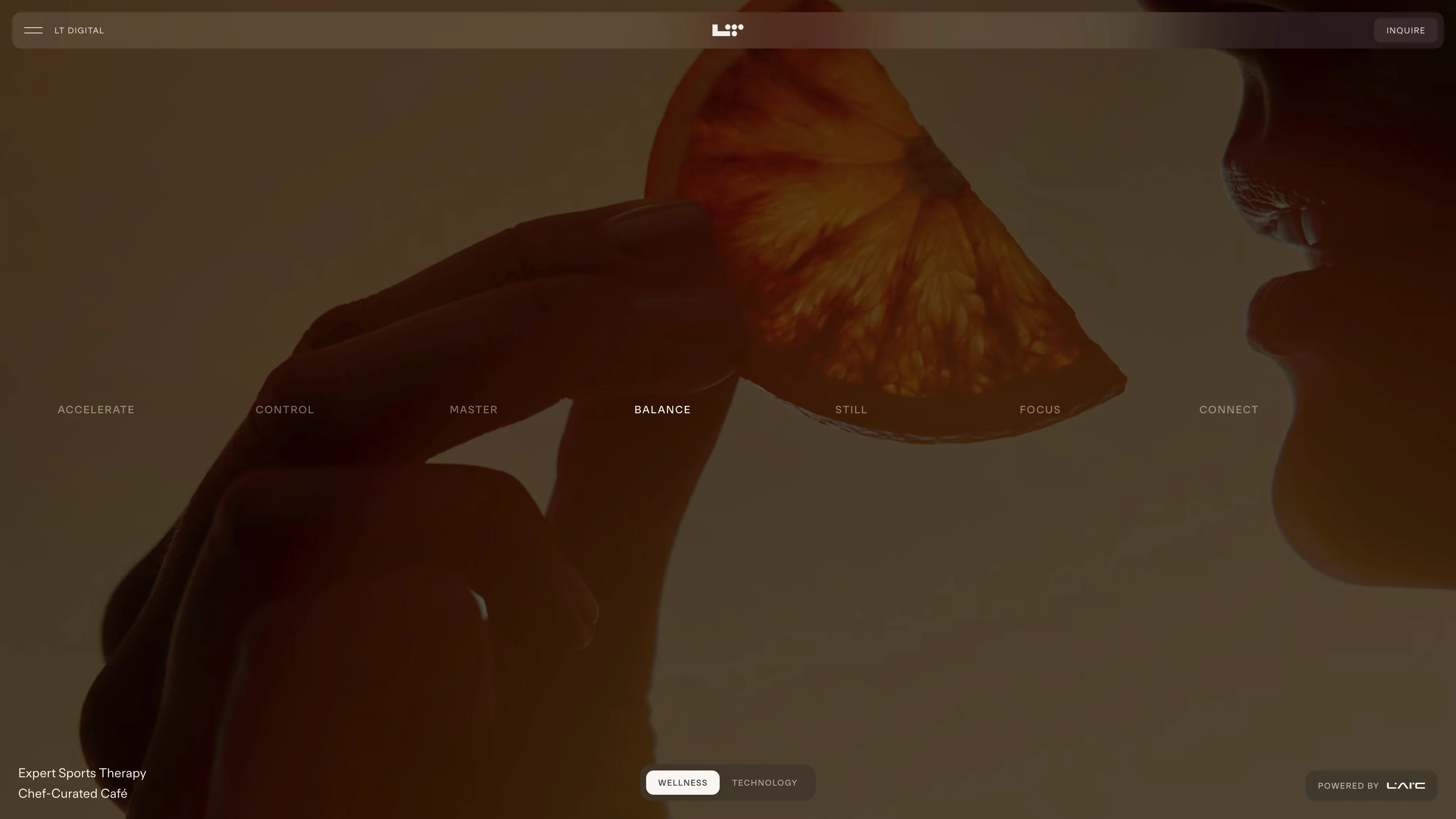 Full page screenshot of the LT Digital website. High performance fitness studio, NYC. Exclusive state-of-the-art gym with …