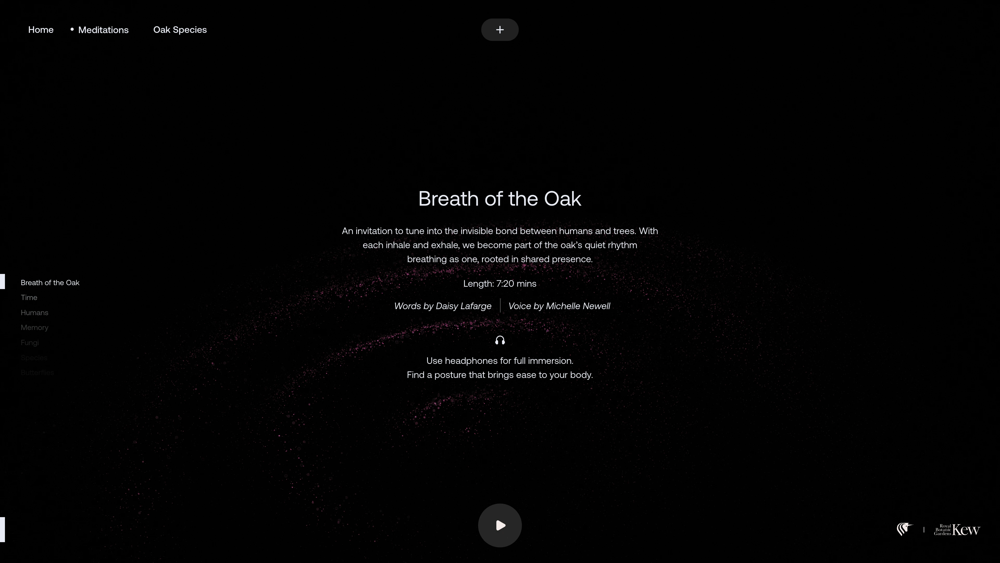 Of the Oak