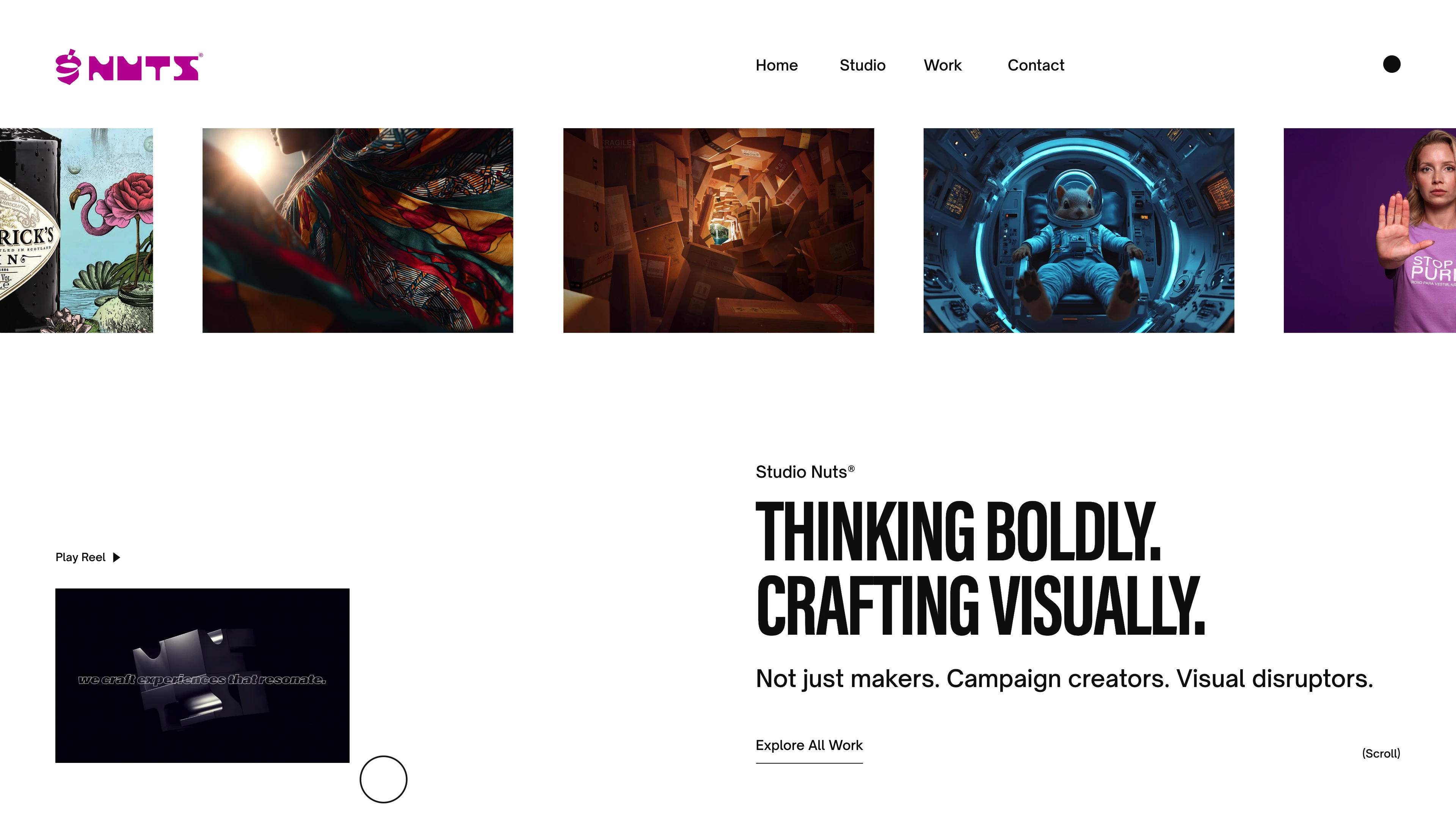 Full page screenshot of the StudioNuts website. A collective creative studio of highly skilled visual graphics artisans craving …