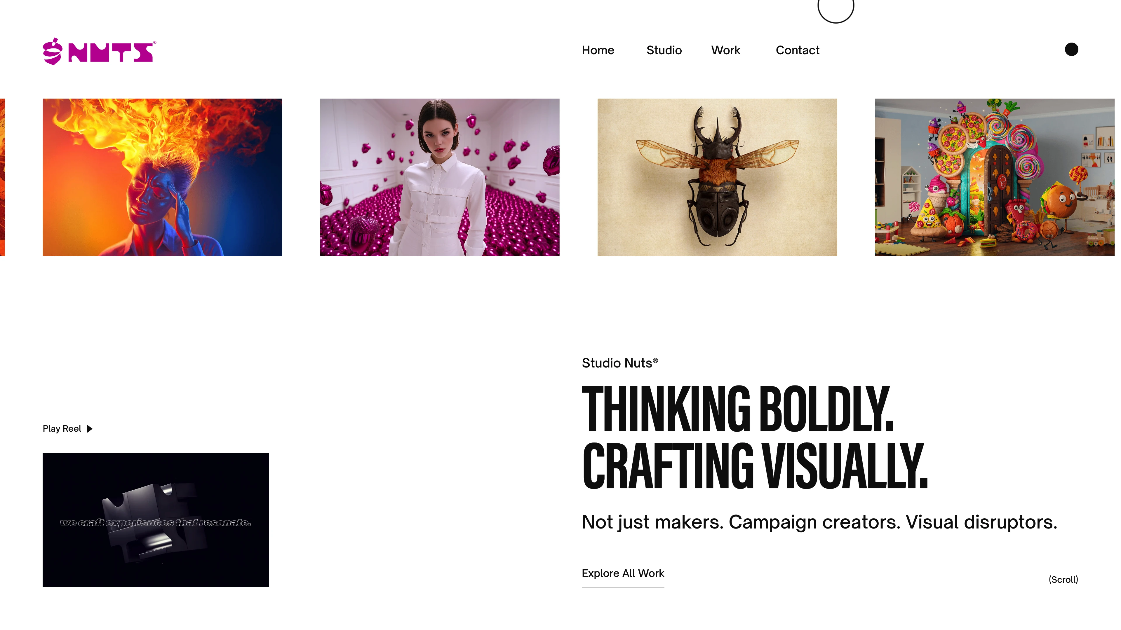 Full page screenshot of the StudioNuts website. A collective creative studio of highly skilled visual graphics artisans craving …
