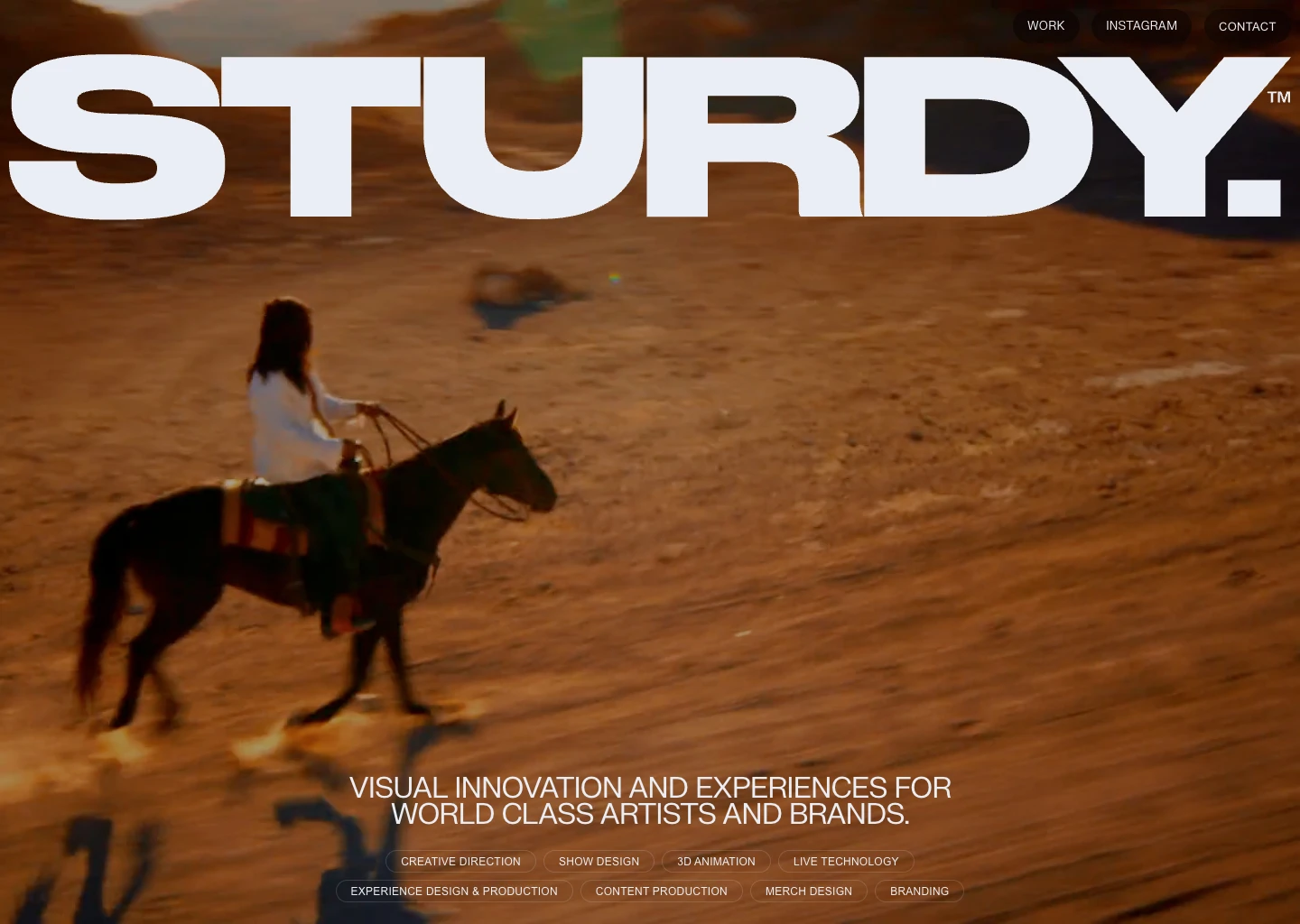 STURDY Website Examples For Your Inspiration - landing.love