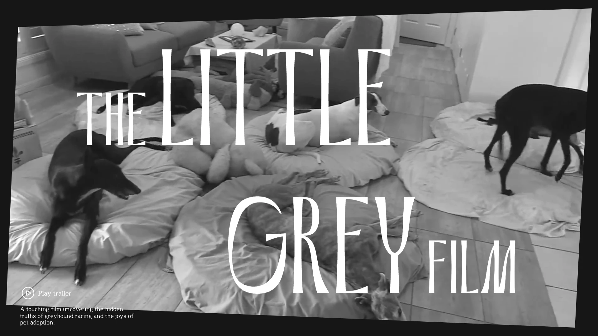 The Little Grey Film