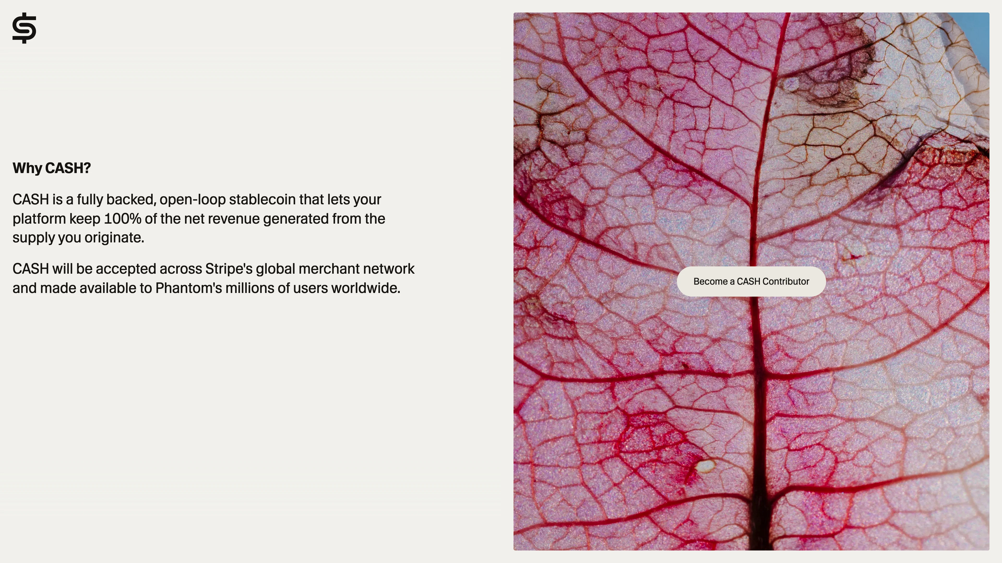 Full page screenshot of the CASH website. A stablecoin built for real-world utility. Capture the full return on your …